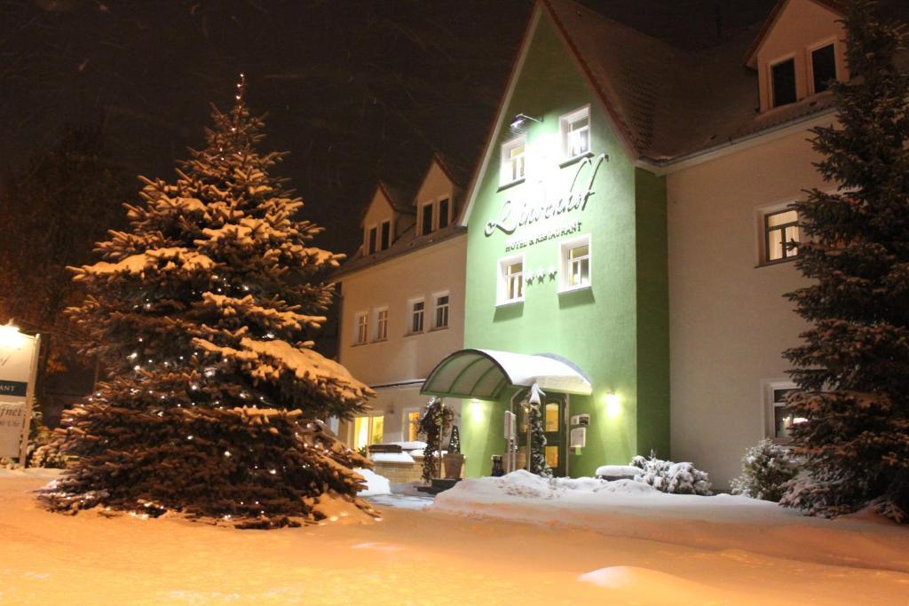 Hotel Lindenhof à Thiendorf Extérieur photo